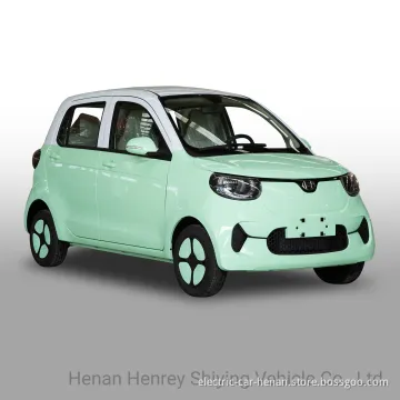 Popular Color Family EV Electric Car for Young People